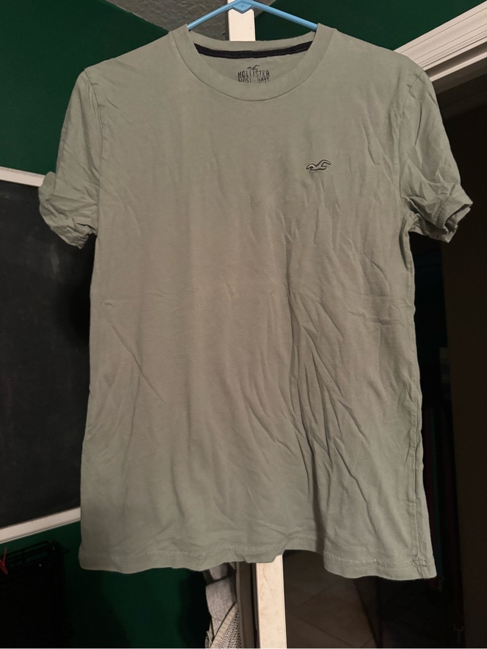 Hollister Men's Crew Neck T-Shirt in Sage